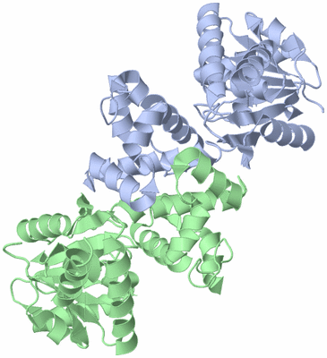 Image Asym./Biol. Unit