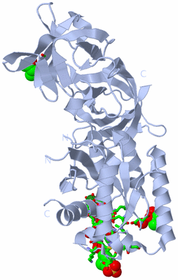 Image Biol. Unit 1 - sites