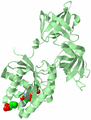 Image Biological Unit 2