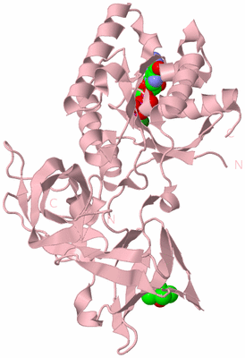 Image Biological Unit 3