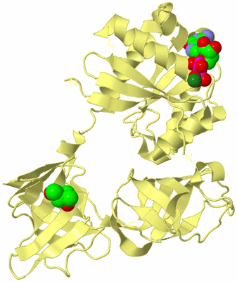 Image Biological Unit 4