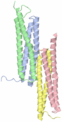 Image Asymmetric Unit