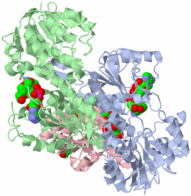 Image Asym./Biol. Unit