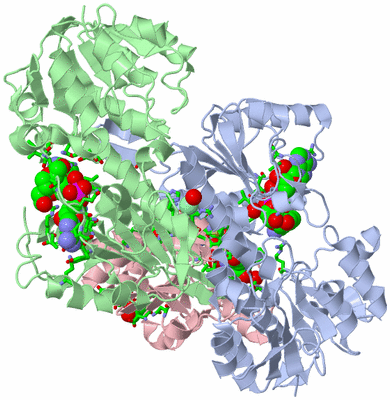 Image Asym./Biol. Unit - sites