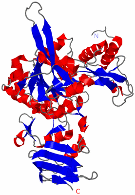 Image Asym./Biol. Unit