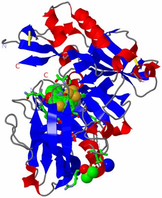 Image Asym./Biol. Unit - sites