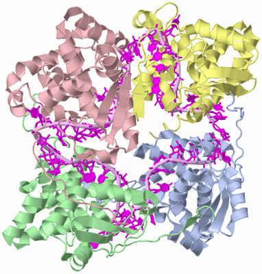 Image Asym./Biol. Unit