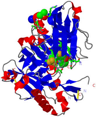 Image Asym./Biol. Unit - sites