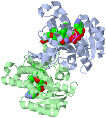 Image Biological Unit 1