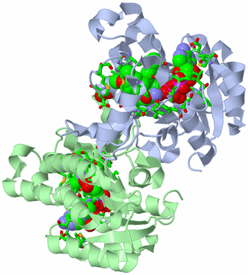 Image Biol. Unit 1 - sites