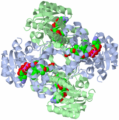 Image Biological Unit 2