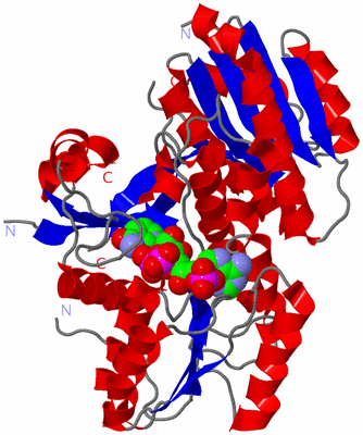 Image Asym./Biol. Unit