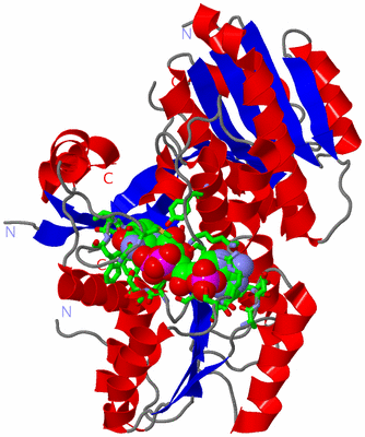 Image Asym./Biol. Unit - sites