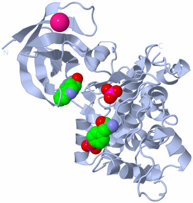 Image Biological Unit 1