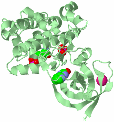 Image Biological Unit 2