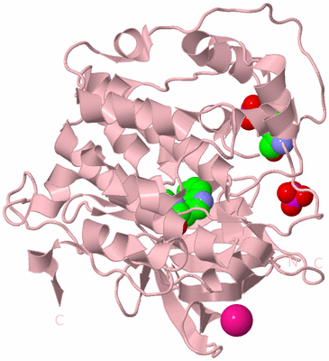 Image Biological Unit 3