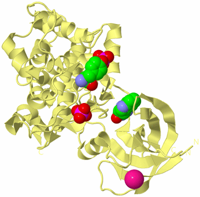 Image Biological Unit 4