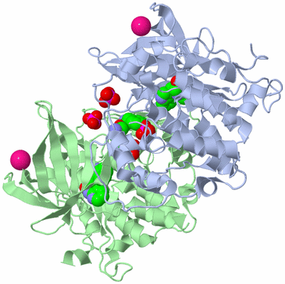 Image Biological Unit 5