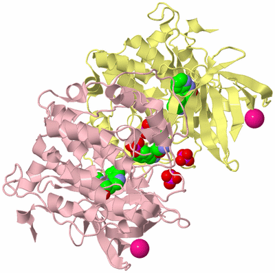 Image Biological Unit 6