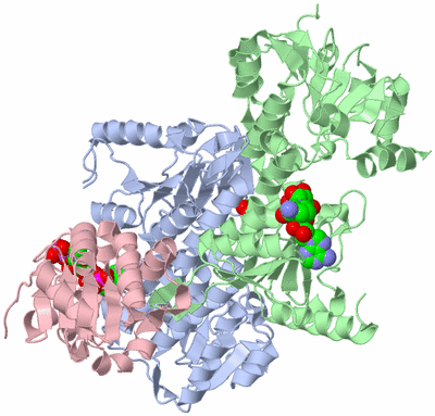 Image Biological Unit 1