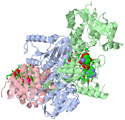 Image Biol. Unit 1 - sites