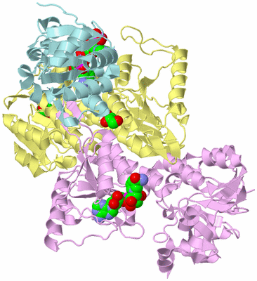 Image Biological Unit 2