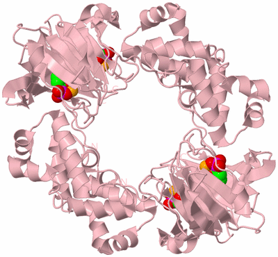 Image Biological Unit 2