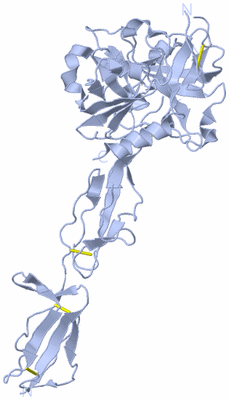 Image Biological Unit 1