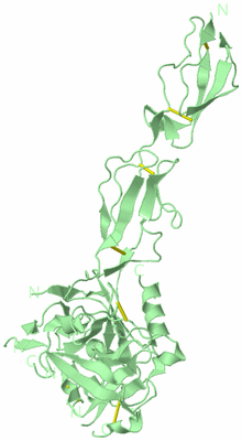 Image Biological Unit 2