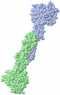 Image Biological Unit 3