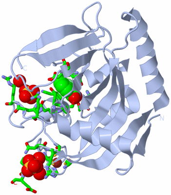 Image Biol. Unit 1 - sites