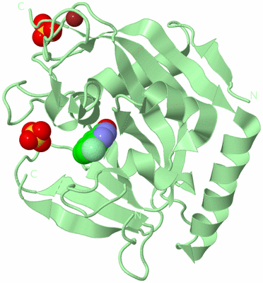 Image Biological Unit 2