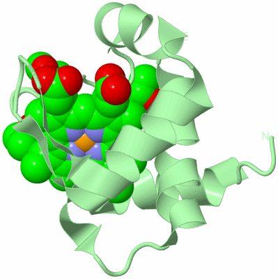 Image Biological Unit 2