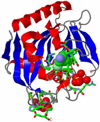 Image Asym./Biol. Unit - sites