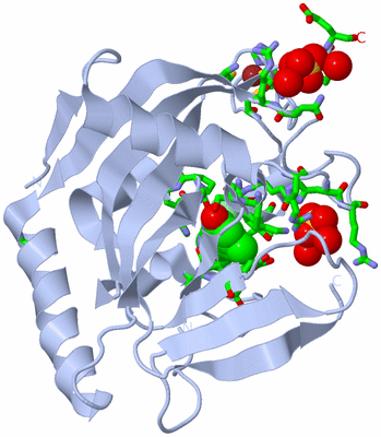 Image Biol. Unit 1 - sites