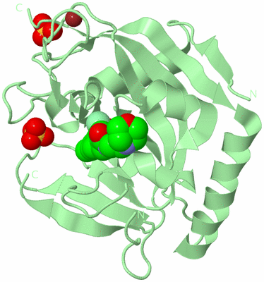 Image Biological Unit 2