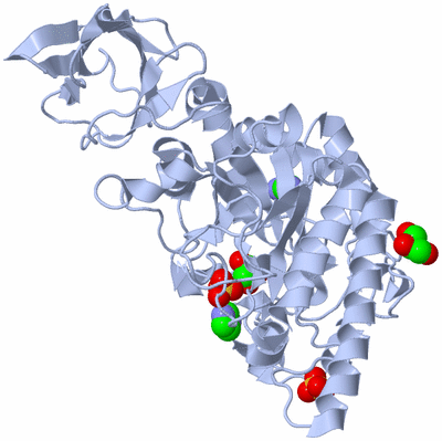 Image Biological Unit 1