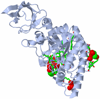 Image Biol. Unit 1 - sites