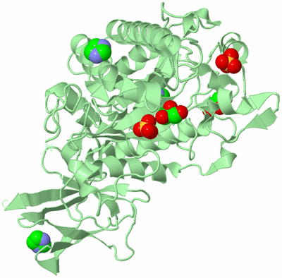 Image Biological Unit 2