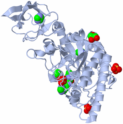 Image Biological Unit 1