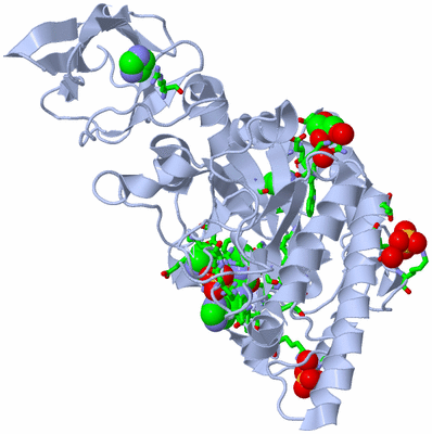 Image Biol. Unit 1 - sites