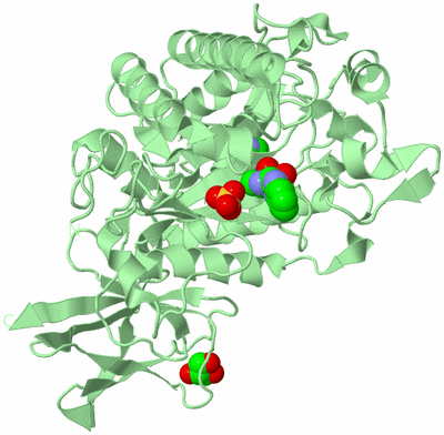 Image Biological Unit 2