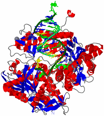 Image Asym./Biol. Unit