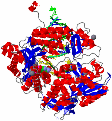 Image Asym./Biol. Unit