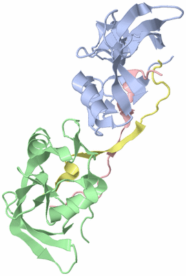 Image Asymmetric Unit