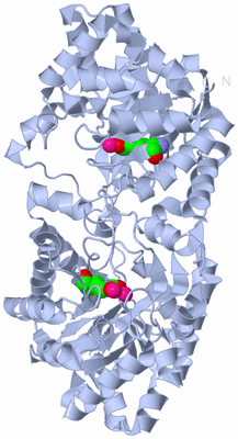 Image Biological Unit 2