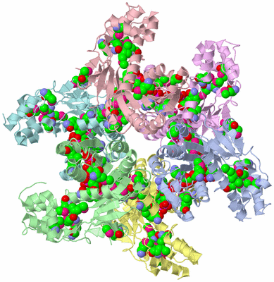 Image Asym./Biol. Unit