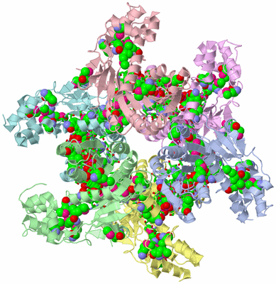 Image Asym./Biol. Unit - sites