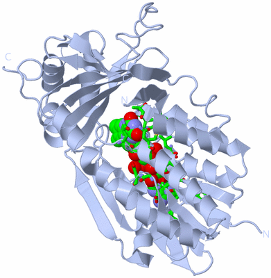 Image Biol. Unit 1 - sites