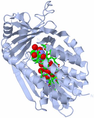 Image Biol. Unit 1 - sites